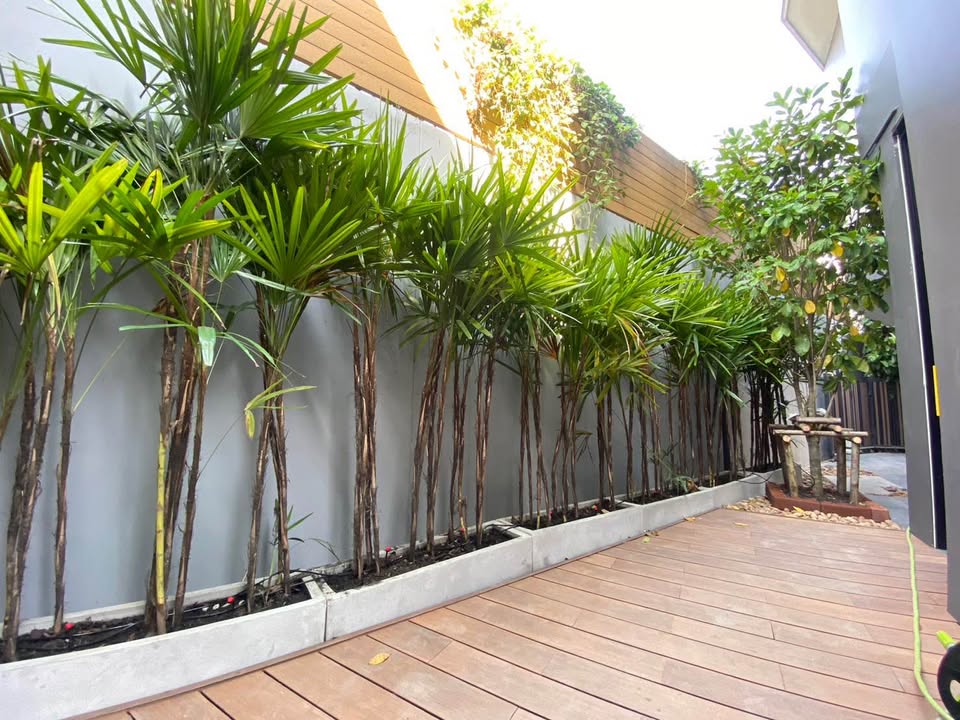Pet-Friendly 4 Bed House for Rent in Ekkamai Sukhumvit 65 with Rooftop Garden – 500+ SQM