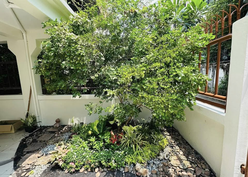 400 SQM House Rent Sukhumvit 31 5BR